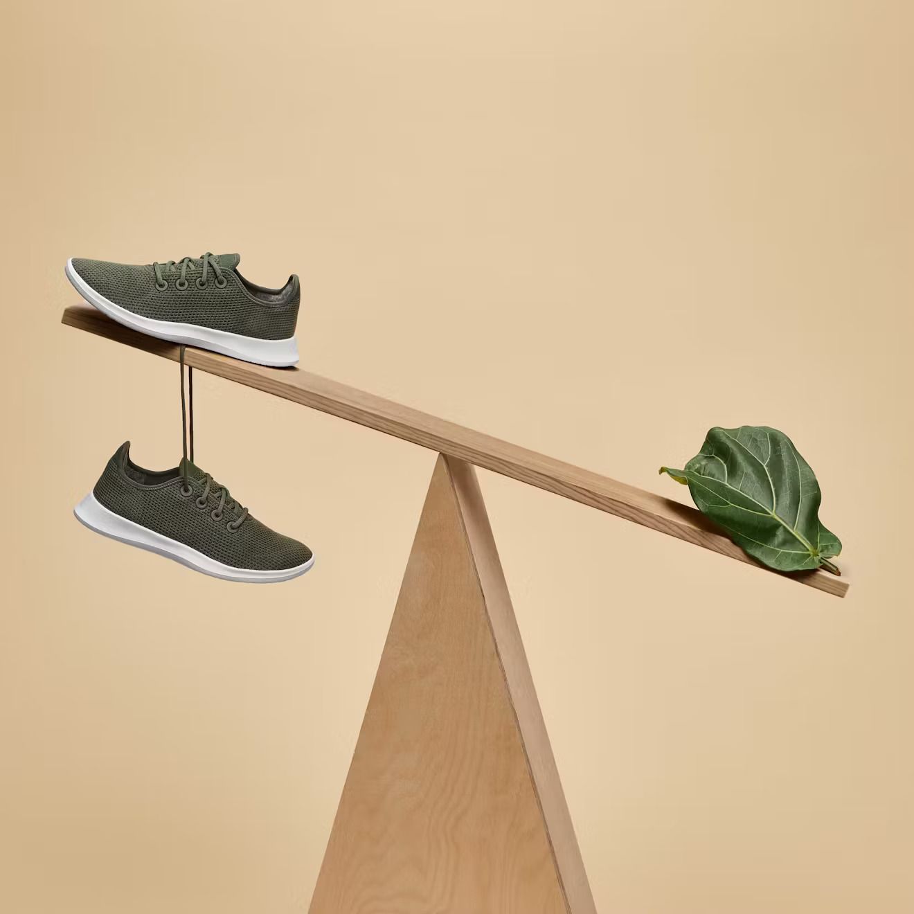Allbirds sneaker ad.jpg