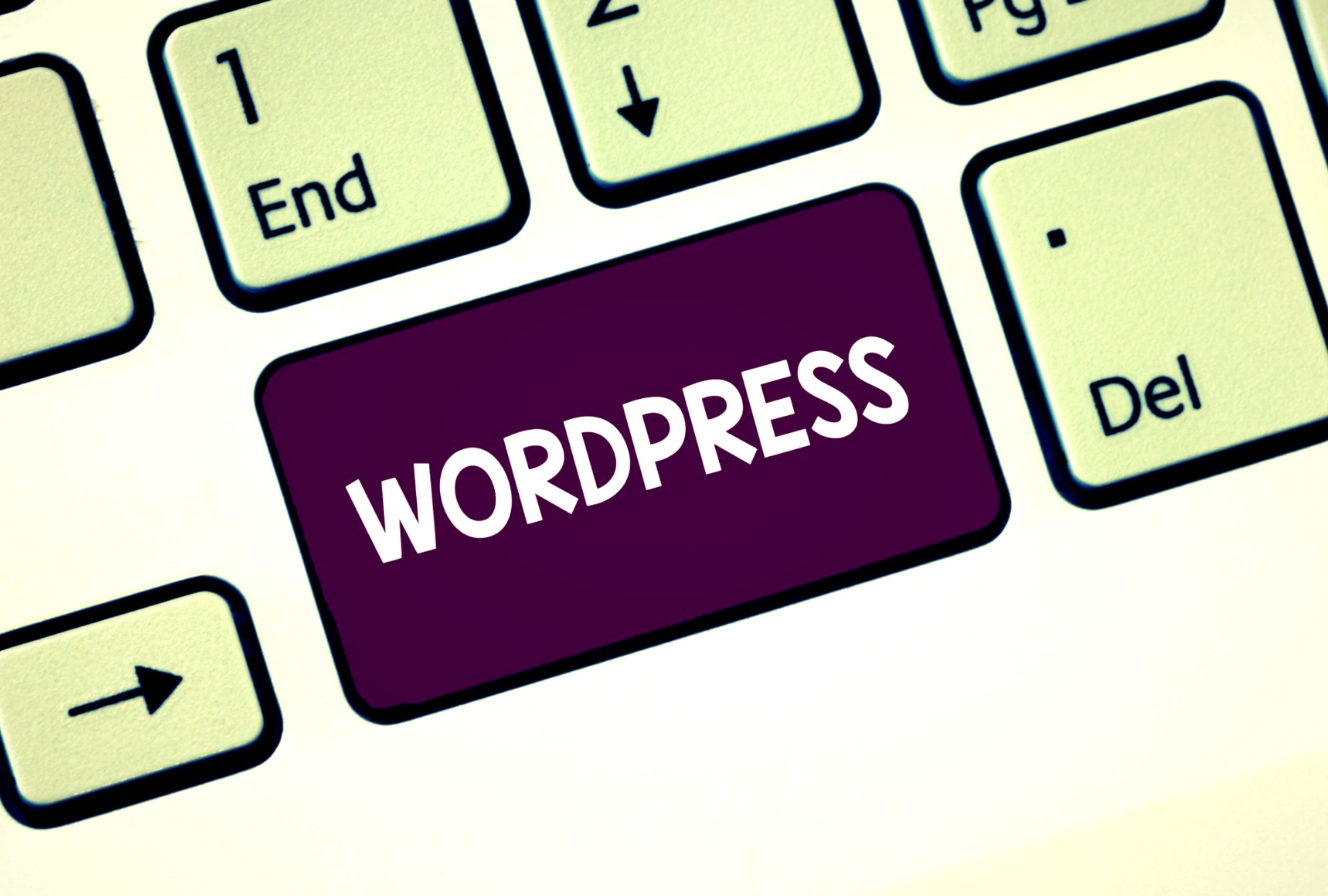 A graphics showing WordPress written on a button with purple background