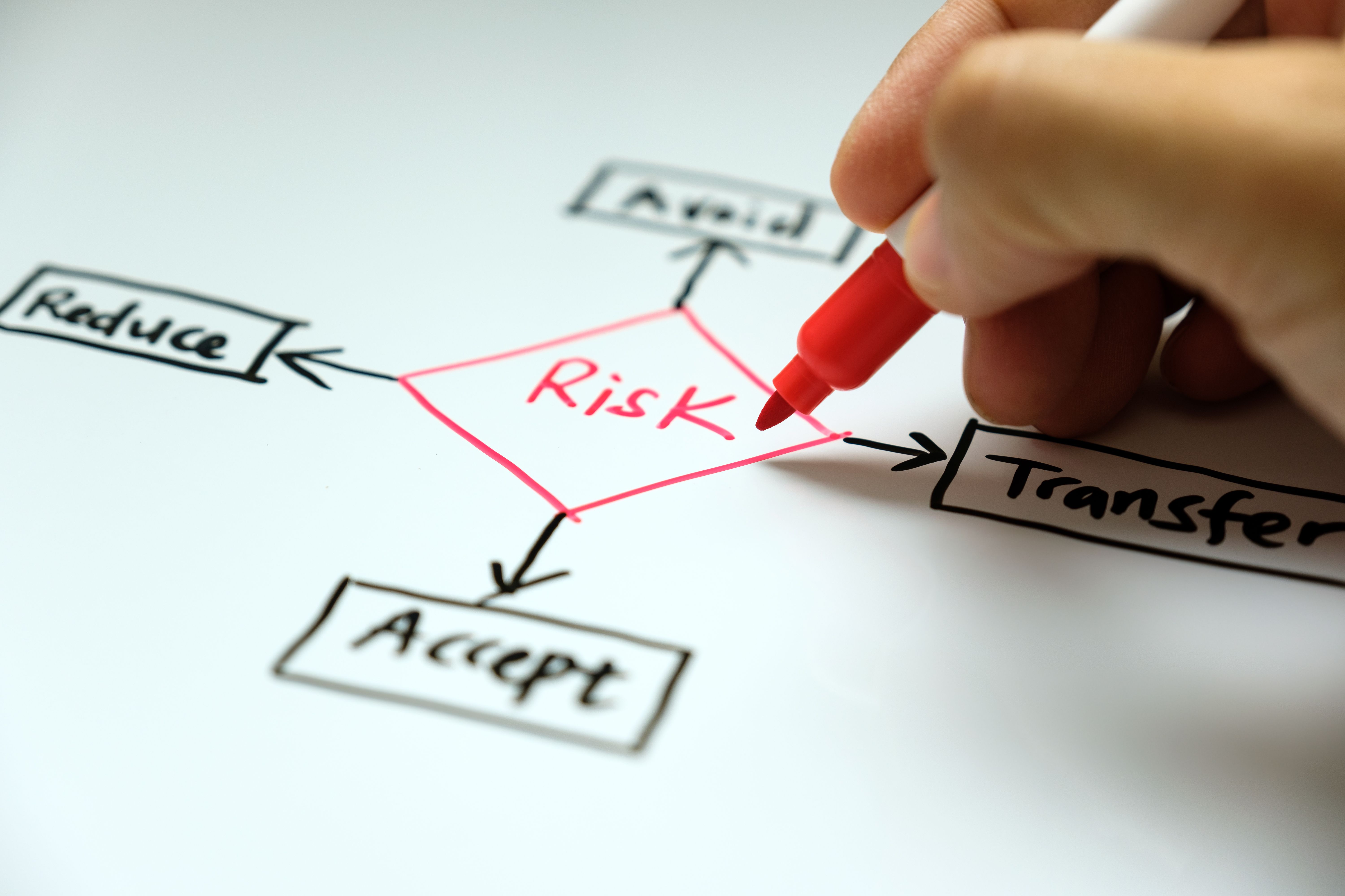 risk-management-concept-avoid-accept-reduce-and-2023-11-27-05-28-48-utc.jpg
